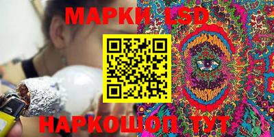 кокс Донской