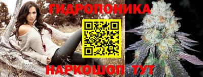 кокс Донской