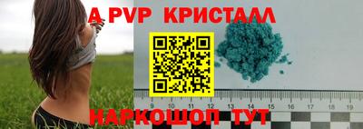 кокс Донской