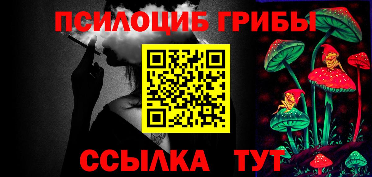 Псилоцибиновые грибы прущие грибы  Вход с VPN  Петрозаводск 